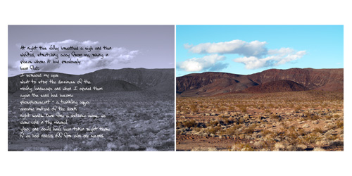 At night the desert changes.jpg