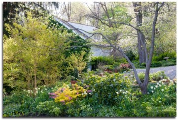 Jewel-Box-02-550x372