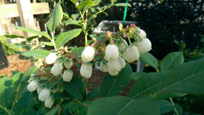 wp-1400274891055 image