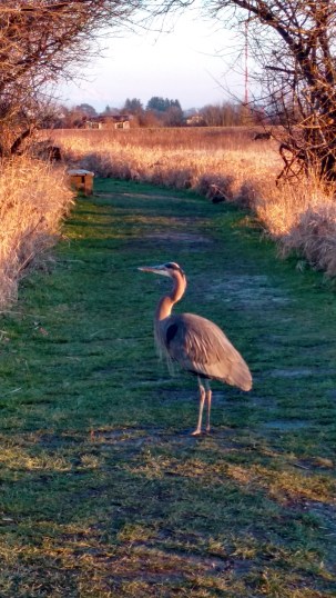 IMG_20160109_160204064_HDR