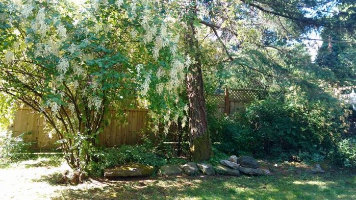 13406983_10153981712031997_120148197019187398_n